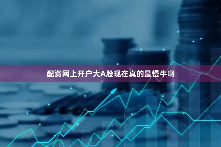 配资网上开户大A股现在真的是慢牛啊