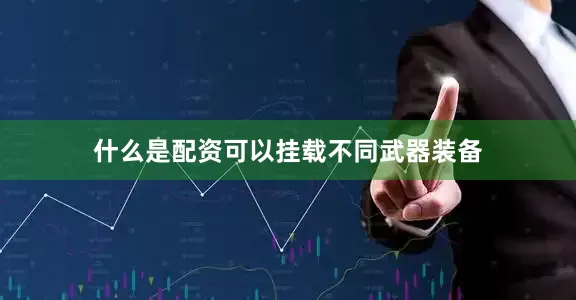 什么是配资可以挂载不同武器装备