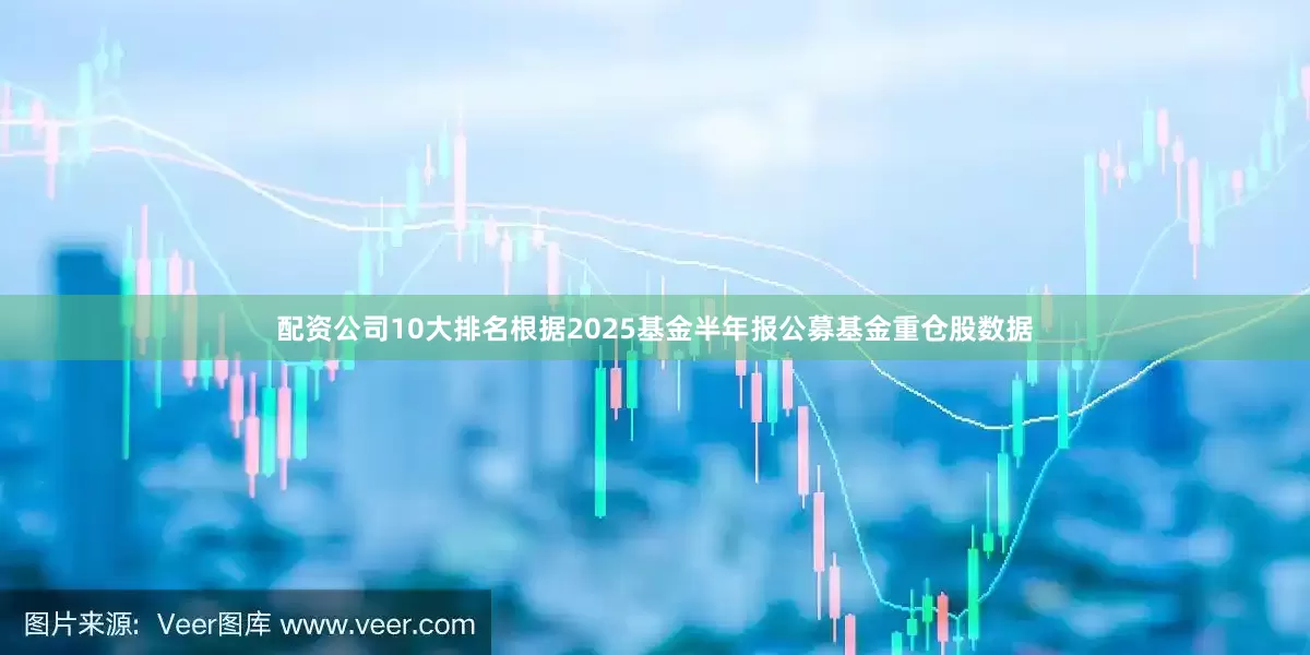 配资公司10大排名根据2025基金半年报公募基金重仓股数据