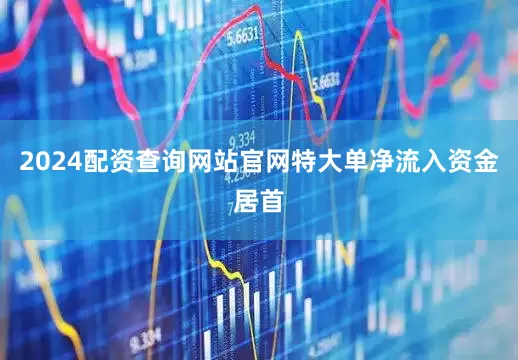 2024配资查询网站官网特大单净流入资金居首