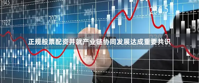 正规股票配资并就产业链协同发展达成重要共识